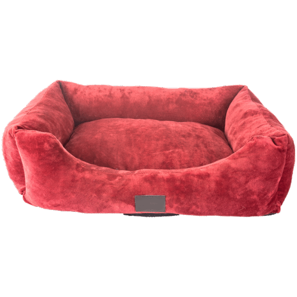 Cushion Bed