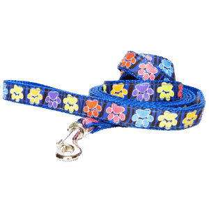 Paw Leash