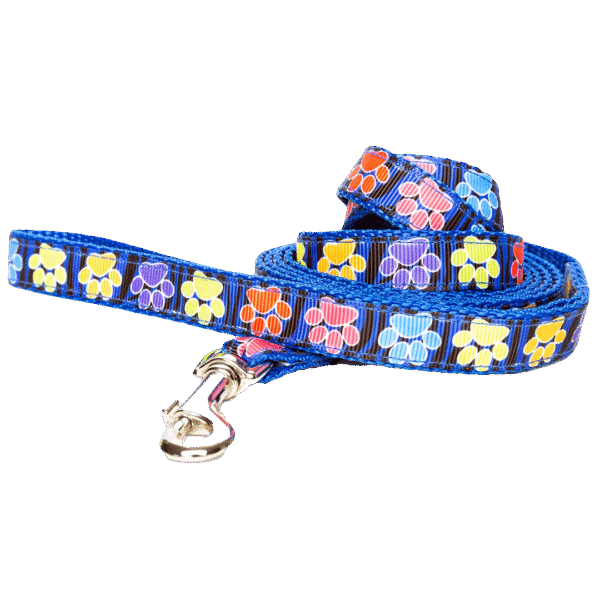 Paw Leash