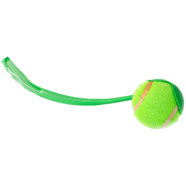 Fetch Ball Launcher