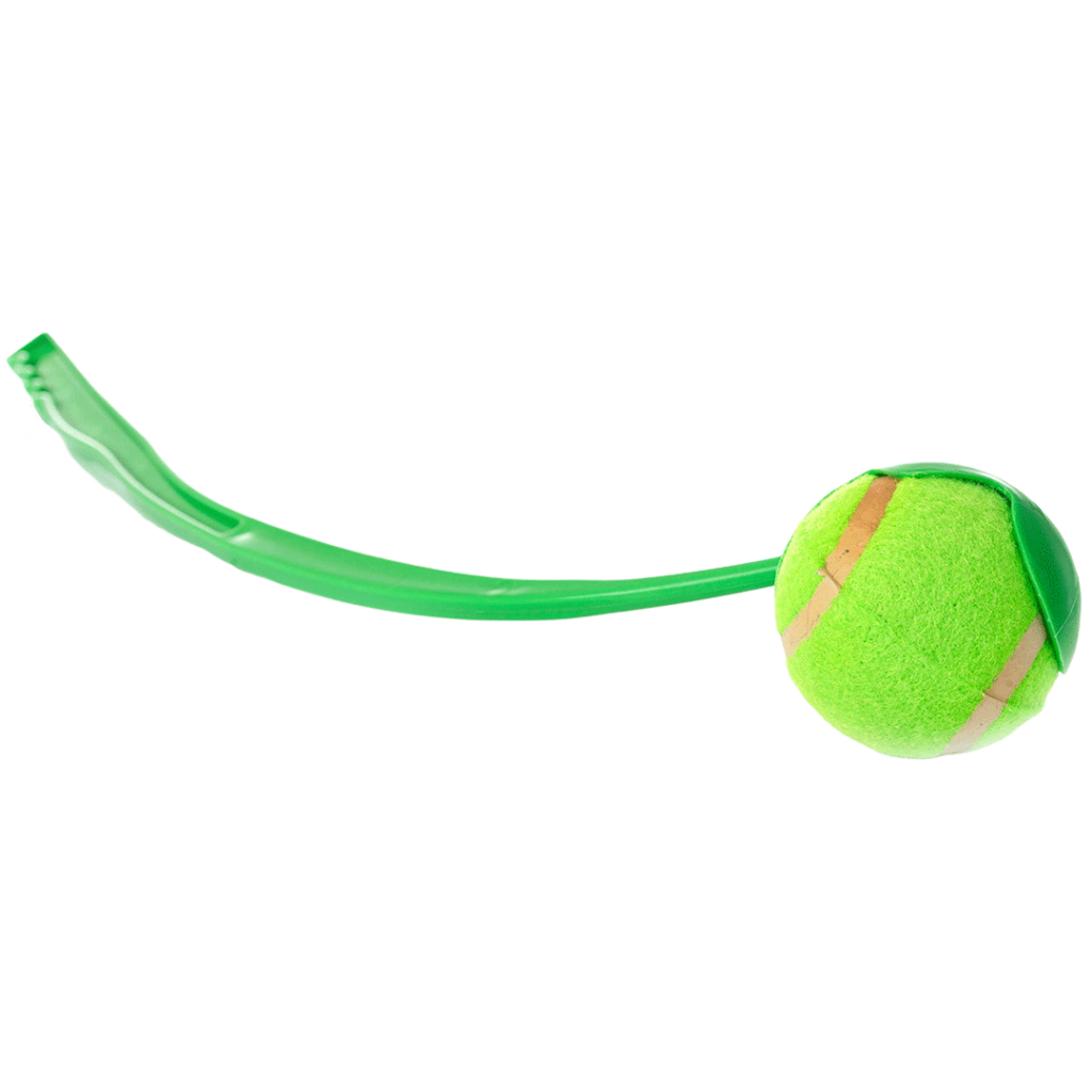 Fetch Ball Launcher